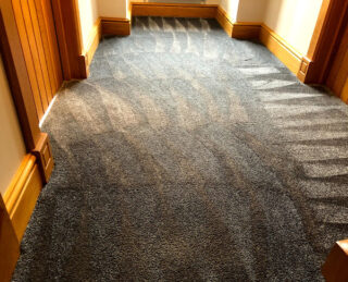 Carpet & Upholstery Cleaning in Tunbridge Wells