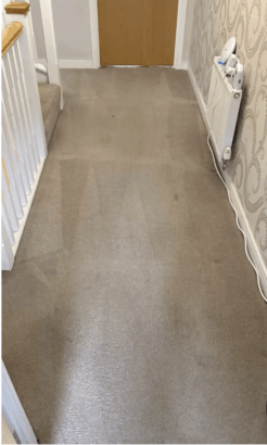Carpet & Upholstery Cleaning in Tunbridge Wells