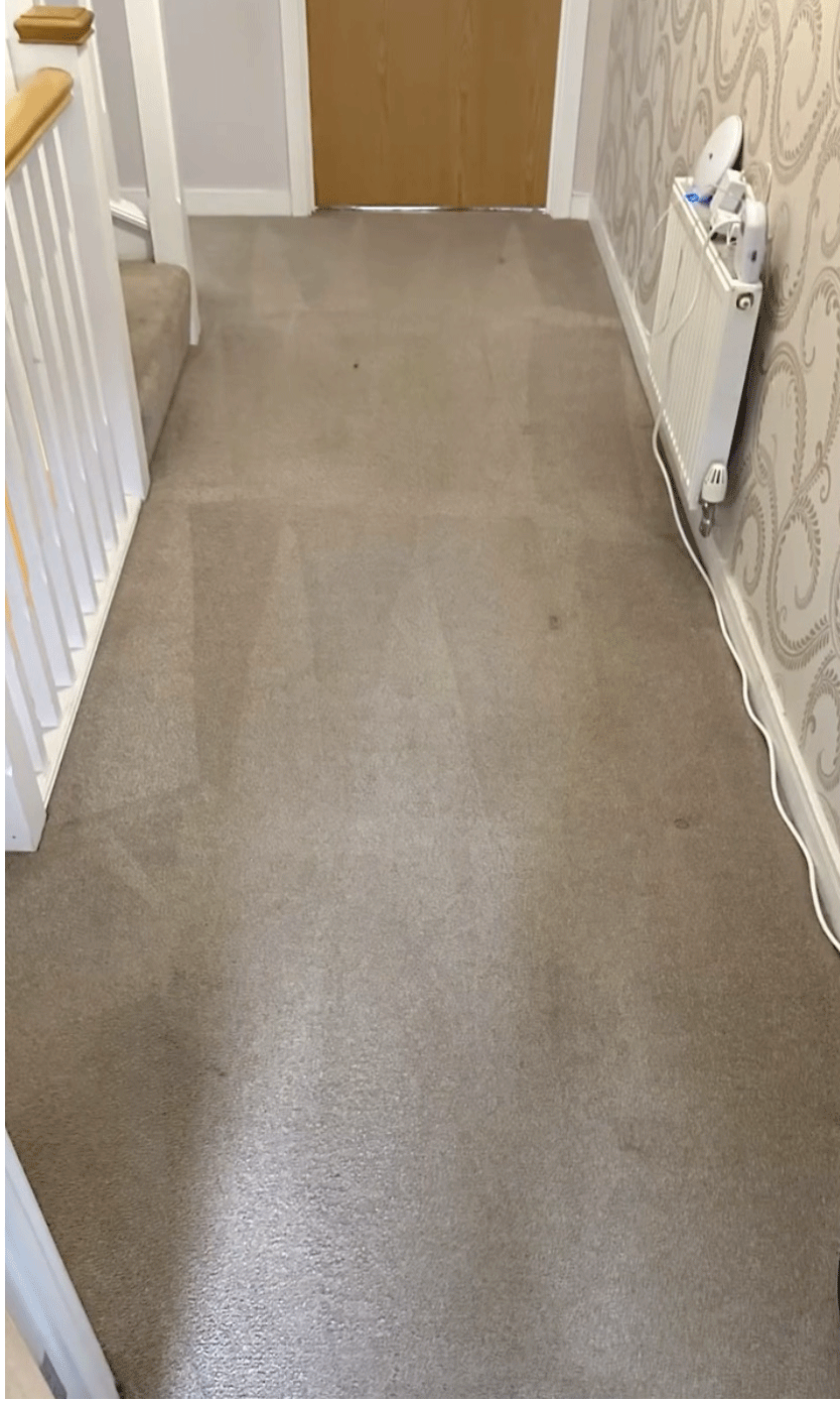 Carpet & Upholstery Cleaning in Tunbridge Wells