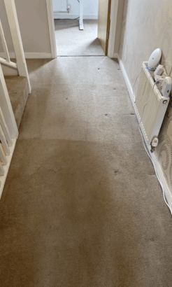 Carpet & Upholstery Cleaning in Tunbridge Wells