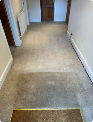 Carpet & Upholstery Cleaning in Tunbridge Wells