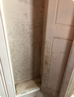 End of Tenancy Cleaning in Tunbridge Wells