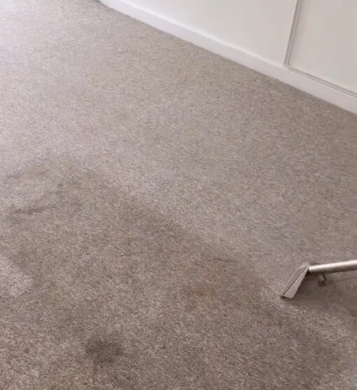 Carpet & Upholstery Cleaning in Tunbridge Wells